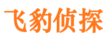 河西外遇调查取证